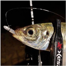 Xesta Bullet Ribhead Jig Head