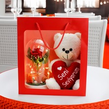 Platin Gift Seni Seviyorum Love Işıklı Fanus Premium Çanta Kırmızı