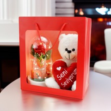 Platin Gift Seni Seviyorum Love Işıklı Fanus Premium Çanta Kırmızı