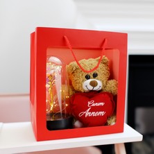 Platin Gift Canım Annem Sonsuzluk Gül Işıklı Fanus Premium Çanta Kırmızı