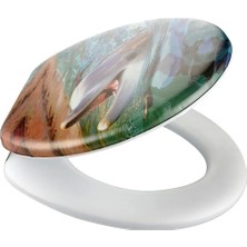 Altıntepe Süngerli Klozet Kapağı