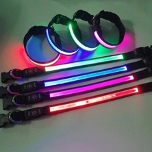 Shanhua Shop Yeşil Stil S Beden LED Parlayan Köpek Tasması Ayarlanabilir Yanıp Sönen USB Şarj Aydınlık Yaka Gece Lambası Demeti Büyük Orta Küçük Köpekler Için Evcil Hayvan Ürünleri (Yurt Dışından)