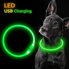 Shanhua Shop Sarı Stil M Boyutu LED Işık Köpek Tasması Ayrılabilir Parlayan USB Şarj Aydınlık Tasma Büyük Kedi Yaka Küçük Parlak Labrador Evcil Köpekler Ürünleri (Yurt Dışından)