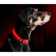 Shanhua Shop Kırmızı Stil S Beden LED Köpek Tasması USB Şarj Edilebilir Parlak ve Yüksek Görünürlük Işıklı Glow Yaka Evcil Hayvan Gece Yürüyüşü Için Ayarlanabilir Aydınlık Yaka (Yurt Dışından)