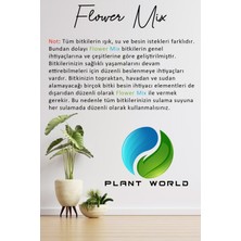 Plant World En Kaliteli Besin  ¬ Vitaminli Bitki Besini Mükemmel Karışım (Plant World Flower Mix)