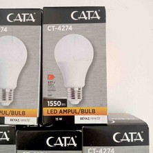 Cata 5 Adet 15 Watt Ampul