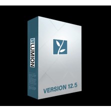 Lumion Pro 12.5 - 1 Pc 1 Yıl Lisans Anahtarı