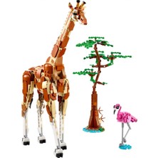 LEGO Creator Vahşi Safari Hayvanları 31150