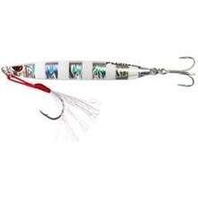 Fujin Metal Cast 40GR Shore Jig Metal Yem