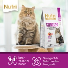 Nutri Feline Sterilised Somonlu Tahılsız Kısırlaştırılmış Kedi Maması 10 kg