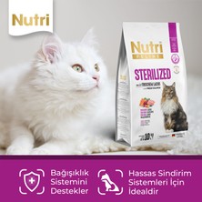 Nutri Feline Sterilised Somonlu Tahılsız Kısırlaştırılmış Kedi Maması 10 kg