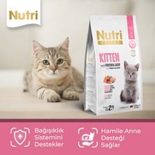 Nutri Feline Kitten Tavuklu Yavru Kedi Maması 2 kg