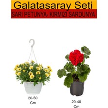Serada Decor Plant 2'li Takım Seti Sarı Askılı Saksılı Petunya+ Kırmızı Sardunya Çiçeği