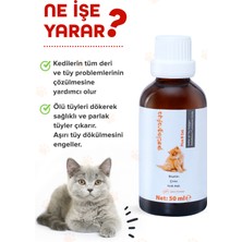 patiografya Plus B For Cats 50  ml Kediler Için Tüy Dökümünü Azaltan Besleyen Tüy Sağlığı Damlası