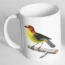 Azresa Fulvous Headed Brush Finch Baskılı Kupa Bardak