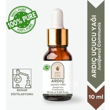 Sera Natura Ardıç Uçucu Yağı %100 Saf 10 ml