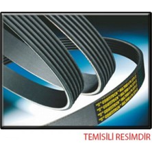 Contitech Kanalli Kayiş Opel Movano 2.2cdti 2.5cdti 16V 03-06 Renault Master 2.2dci 2.5dci 16V 97-06 18051