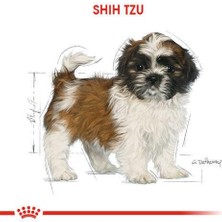 Royal Canin Shihtzu Yavru Köpek Maması 1,5 Kg