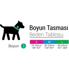 Tailpetz RAINBOW KÖPEK BOYUN TASMASI XS