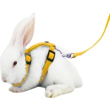 Pengfu Shop Kırmızı Stil Pet Gine Domuzu Tavşan Koşum Yaka Ayrılıkçı Yumuşak Pet Malzemeleri Hafif Kurşun Halat Toka Tasmalar (Yurt Dışından)