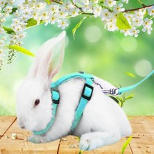 Pengfu Shop Kırmızı Stil Pet Gine Domuzu Tavşan Koşum Yaka Ayrılıkçı Yumuşak Pet Malzemeleri Hafif Kurşun Halat Toka Tasmalar (Yurt Dışından)