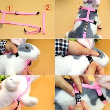 Pengfu Shop Kırmızı Stil Pet Gine Domuzu Tavşan Koşum Yaka Ayrılıkçı Yumuşak Pet Malzemeleri Hafif Kurşun Halat Toka Tasmalar (Yurt Dışından)