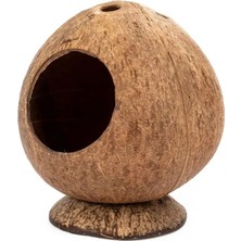 Pengfu Shop Kahve Tarzı Güvenli Küçük Evcil Hayvanlar Evi Hindistan Cevizi Kabuğu Gine Domuzu Yuva Çizilmeye Dayanıklı Hamster Hideout Kulübe Pet Çiğneme Oyuncak Egzersiz Eğitimi (Yurt Dışından)