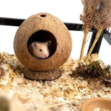 Pengfu Shop Kahve Tarzı Güvenli Küçük Evcil Hayvanlar Evi Hindistan Cevizi Kabuğu Gine Domuzu Yuva Çizilmeye Dayanıklı Hamster Hideout Kulübe Pet Çiğneme Oyuncak Egzersiz Eğitimi (Yurt Dışından)