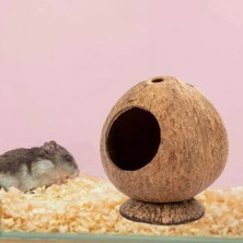 Pengfu Shop Kahve Tarzı Güvenli Küçük Evcil Hayvanlar Evi Hindistan Cevizi Kabuğu Gine Domuzu Yuva Çizilmeye Dayanıklı Hamster Hideout Kulübe Pet Çiğneme Oyuncak Egzersiz Eğitimi (Yurt Dışından)