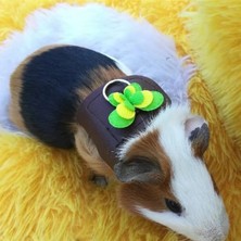 Pengfu Shop Bir Stil S Beden Tavşan Hamster Yelek Koşum Tasma ile Küçük Pet Göğüs Kemeri Gelincik Gine Domuzu Tavşan Hamster Koşum Yelek Tasma Pet Malzemeleri (Yurt Dışından)