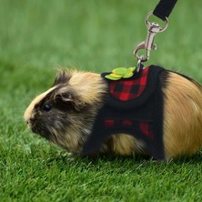 Pengfu Shop Bir Stil S Beden Tavşan Hamster Yelek Koşum Tasma ile Küçük Pet Göğüs Kemeri Gelincik Gine Domuzu Tavşan Hamster Koşum Yelek Tasma Pet Malzemeleri (Yurt Dışından)