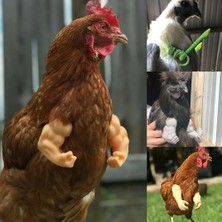 Pengfu Shop D Tarzı Tavuk Kolu Decoratioken Ön Ayak Dekor Dinozor Parodi Pet Proken Kol Hulk Armken Temalı Parti Komik Dekor (Yurt Dışından)