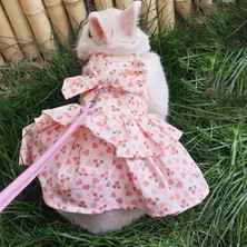 Pengfu Shop No.1 Stili S Beden Ayarlanabilir Evcil Hayvan Gelincik Koşum Tavşan Elbise Jean Küçük Kediler Içinbebek Tavşansincaphamster Sıçan Fare Tasma Kurşun Halat Yelek (Yurt Dışından)