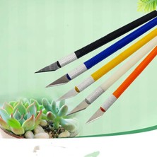 Luoditong Shop No.1 Stili Bahçe Succulents Saksı Dikim Aşılama Çakı Tamir Köksap Kesme Tomurcuk Aşılama Meyve Aşılama Aracı (Yurt Dışından)