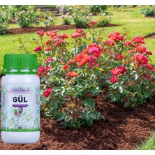 Doctor Bahçem Gül 500 ml