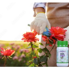 Doctor Bahçem Gül 500 ml