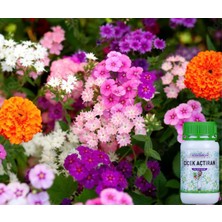 Doctor Bahçem Çiçek Açtıran 500 ml