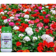 Doctor Bahçem Sardunya 500 ml