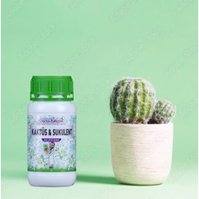 Doctor Bahçem Kaktüs ve Sükulent 500 ml