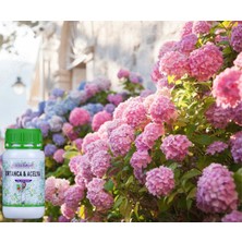 Doctor Bahçem Ortanca & Açelya 500 ml