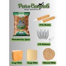 Purecanpati Muhabbet Kuşu Seti (Yem 500 Gr,kraker,kalamar Kemiği,enerji Blok,mineral Blok)