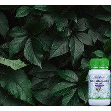 Doctor Bahçem Yaprak Sararmalarını Önleyici Özel Bitki Besini 500 ml