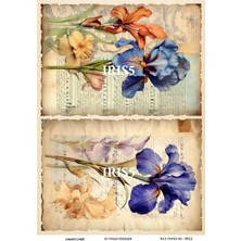 Lineart Irıs Serisi Irıs5 Iris, Zambak Desen Pirinç Dekopaj 30X42