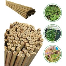 Doğa Fidancılık 40 Adet Bambu Bitki Fidan Destek Çubuğu 1 Metre