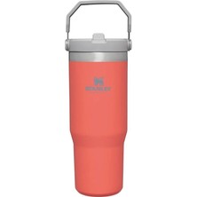 Stanley The Iceflow Flip Straw Pipetli Termos Bardak 0,89 Lt