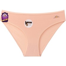 Papatya Modal Basic Bikini Külot Pamuklu