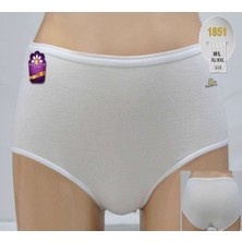 Papatya Modal Kumaş Yüksek Bel Bato Slip Külot 6 Adet