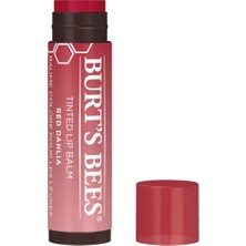 Burt's Bees Tinted Red Dahlia Renkli Dudak Bakım Kremi