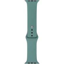 Heptek İletişim Apple Watch 2/3/4/5/6/7/8/9/se/ultra/nike 42MM 44MM 45MM 49MM Metal Kordon Tasarım (Band Klasik)
