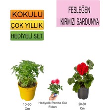 Serada Decor Plant 3'lü Set Fesleğen+ Kırmızı Sardunya+Hediiyelik+Pembe Gül Fidanı